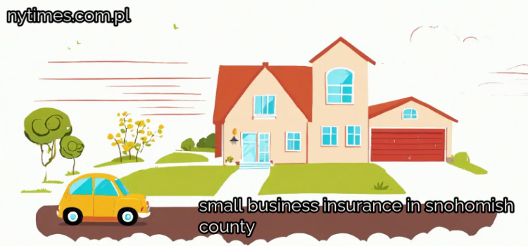 small business insurance in snohomish county